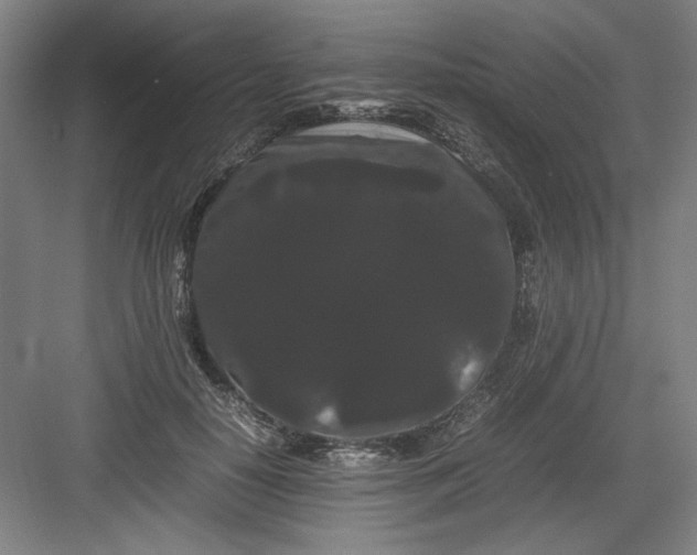 X0000082940650200702152215