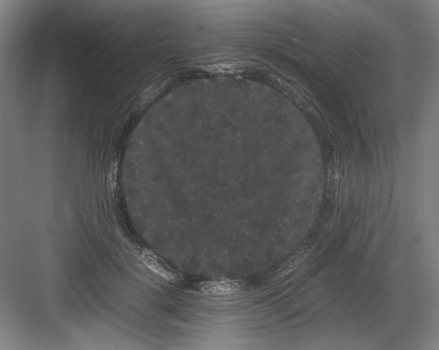 X0000082940652200702152215