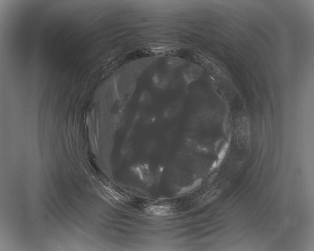 X0000082940653200702152215