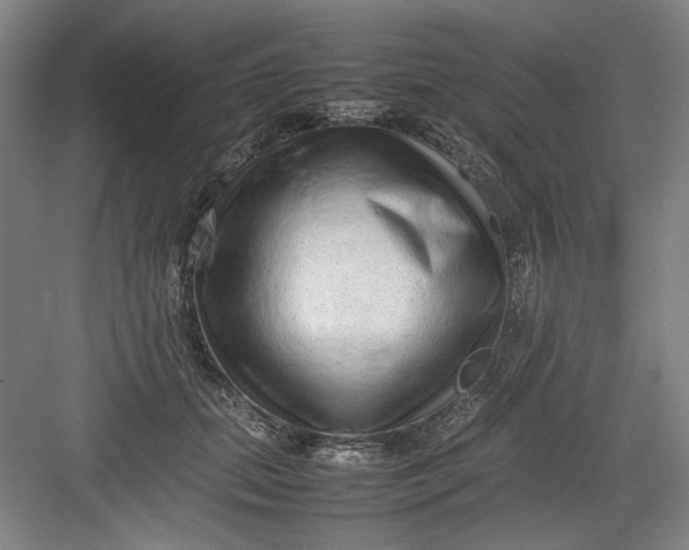 X0000082940655200702152215