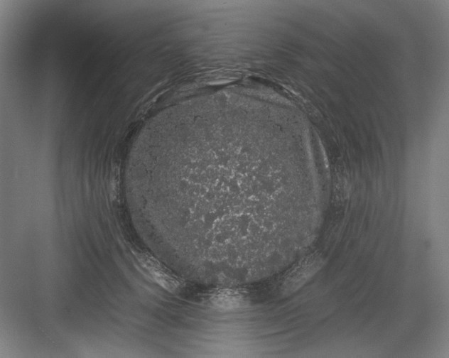 X0000082940656200702152215