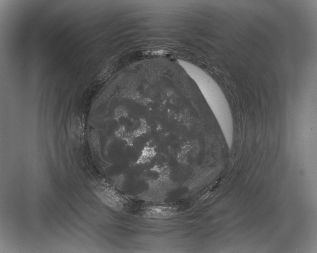 X0000082940657200702152215