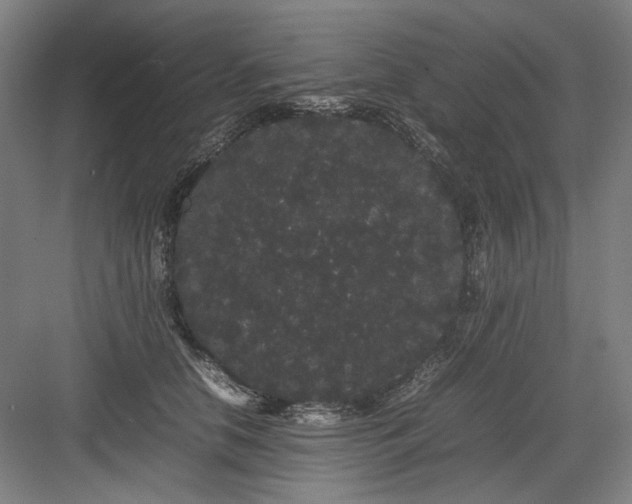 X0000082940658200702152215