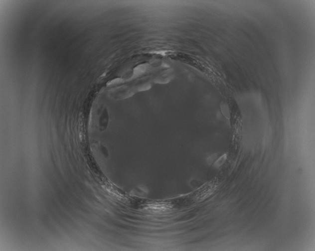 X0000082940659200702152215