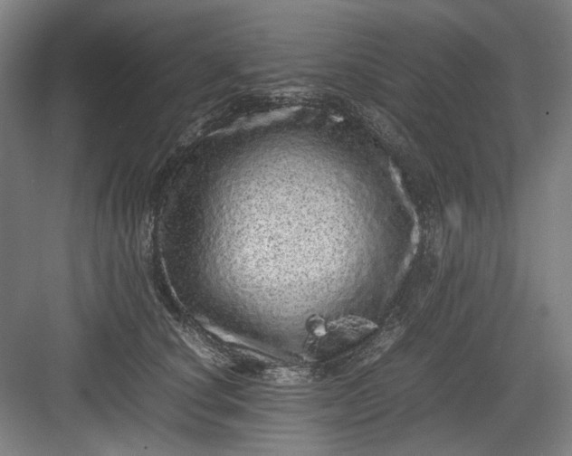 X0000082940660200702152215