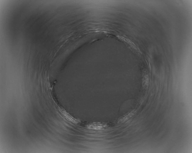 X0000082940661200702152215