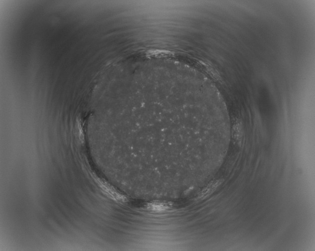 X0000082940662200702152215