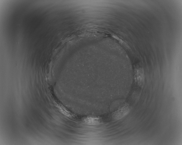 X0000082940664200702152215