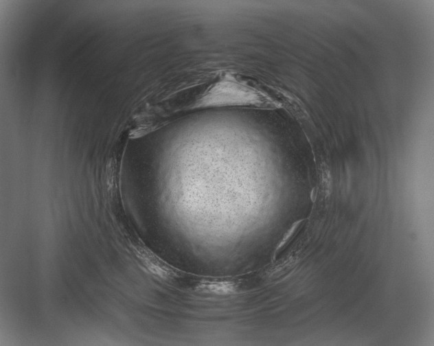 X0000082940665200702152215