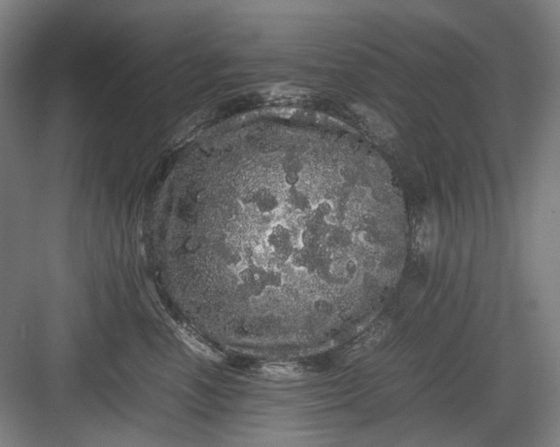 X0000082940666200702152215