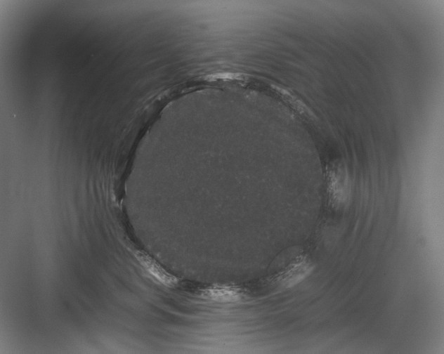 X0000082940668200702152215