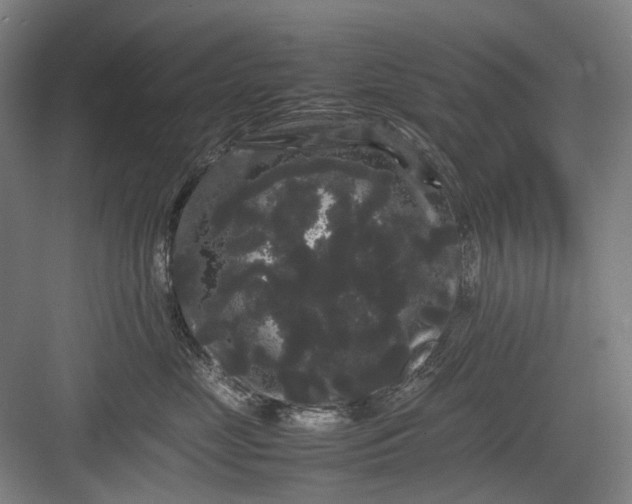 X0000082940669200702152215