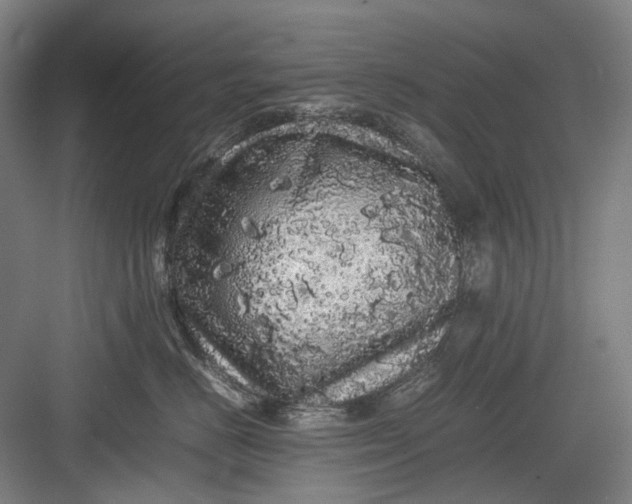 X0000082940670200702152215