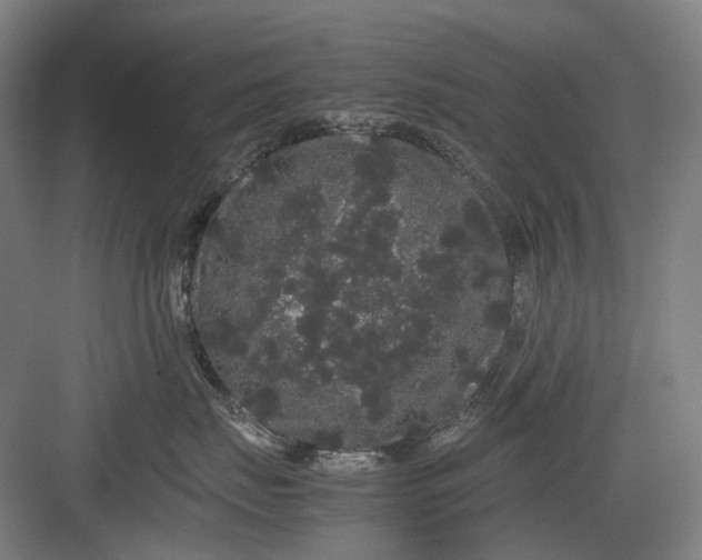 X0000082940671200702152215