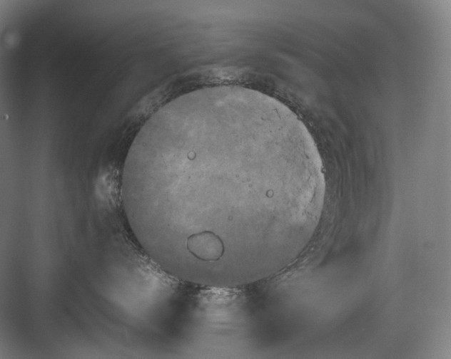 X0000082940672200702152216