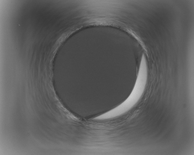 X0000082940673200702152215