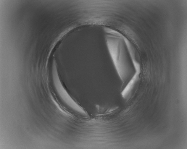 X0000082940674200702152215