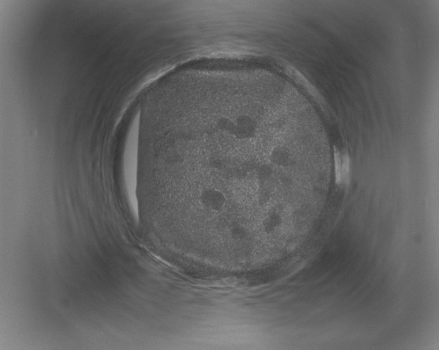 X0000082940675200702152215