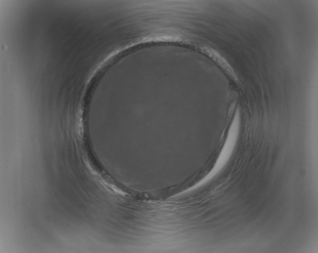 X0000082940676200702152215