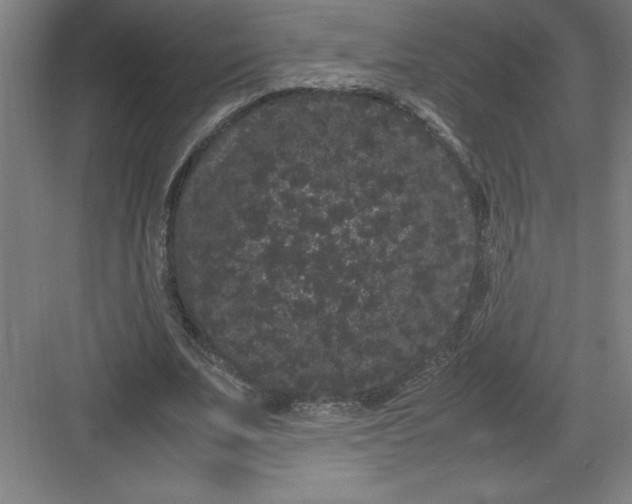 X0000082940679200702152215