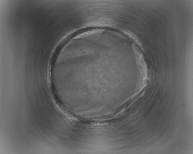 X0000082940680200702152215