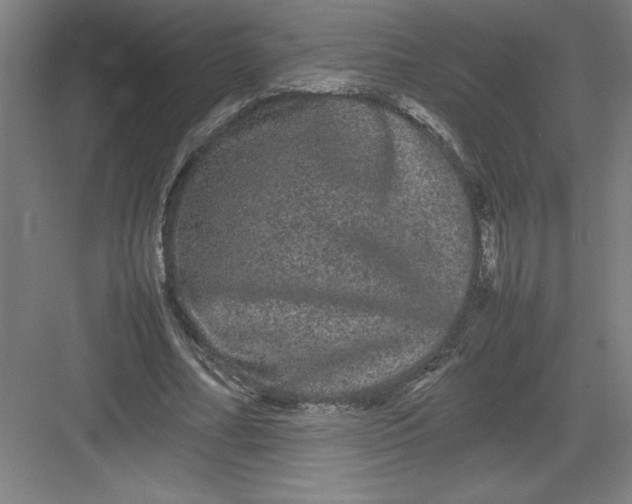 X0000082940682200702152215