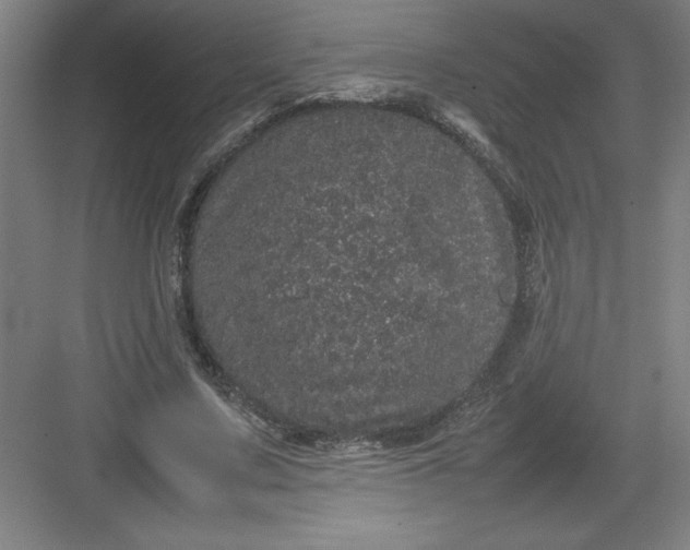 X0000082940683200702152215