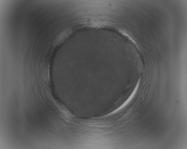 X0000082940685200702152214