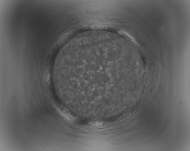 X0000082940687200702152214