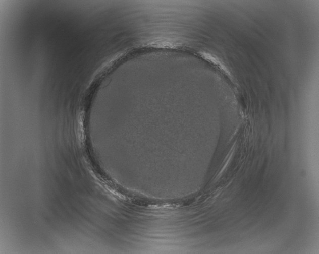 X0000082940688200702152214