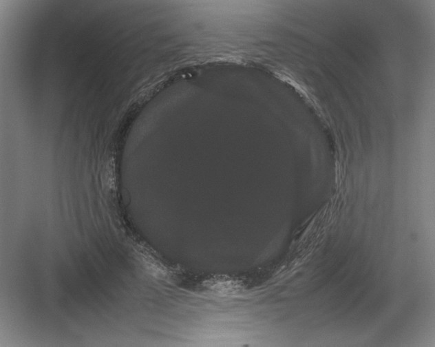 X0000082940689200702152214