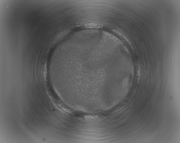 X0000082940690200702152214