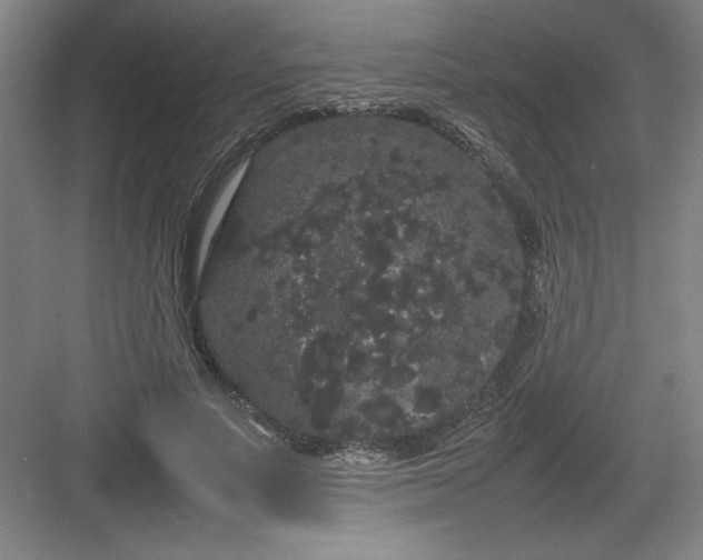 X0000082940691200702152214