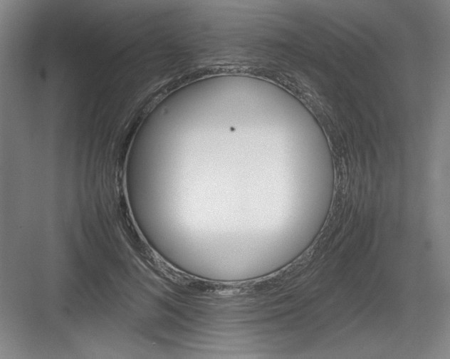 X0000082940692200702152214