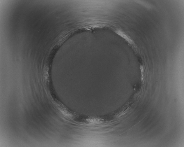 X0000082940693200702152214