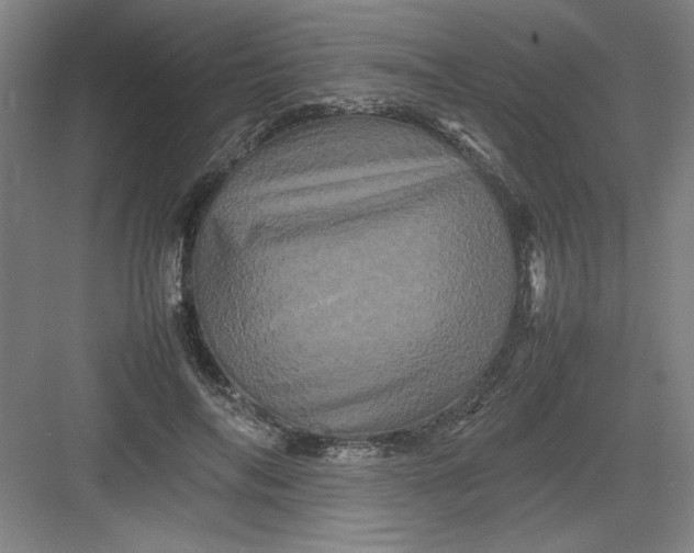 X0000082940694200702152214