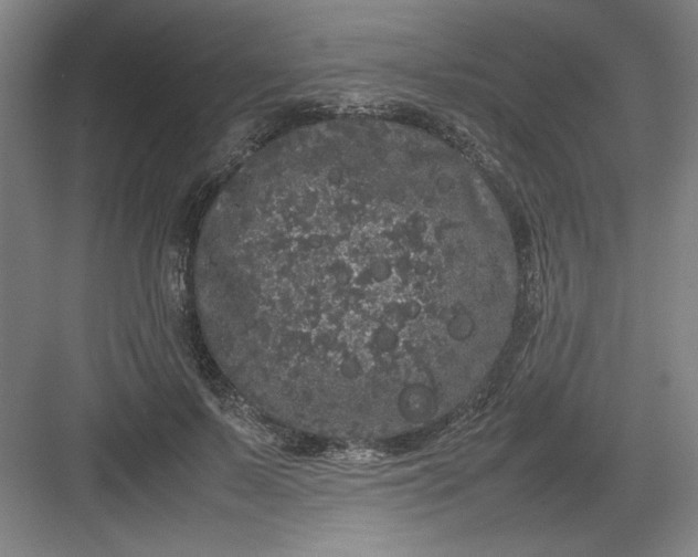 X0000082940695200702152214