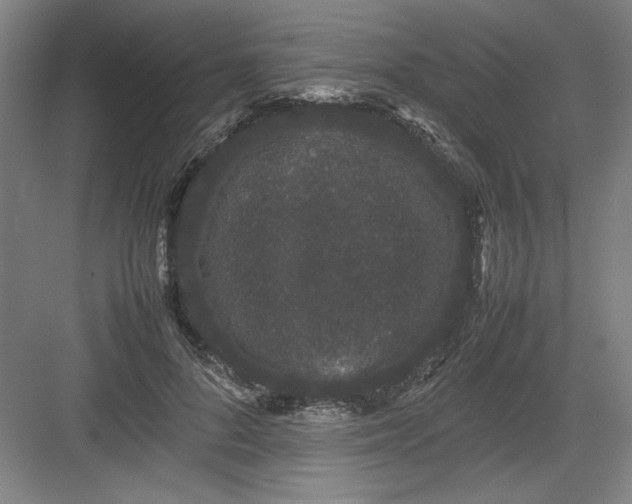 X0000082940696200702152214