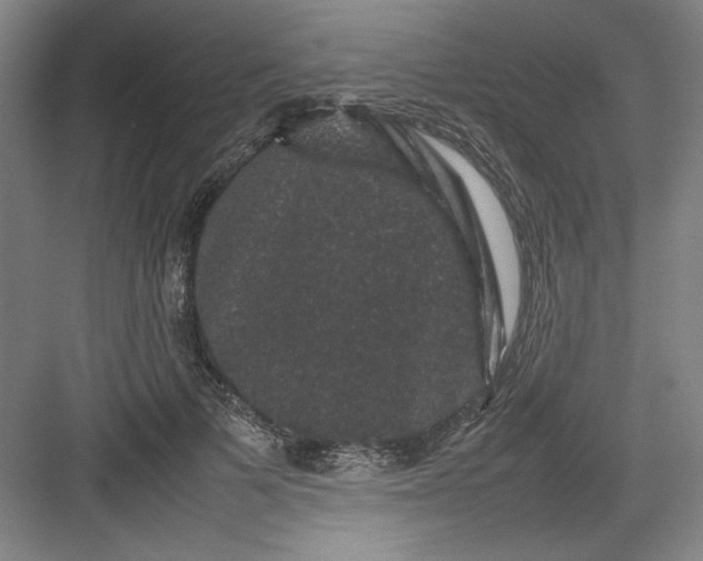 X0000082940697200702152214