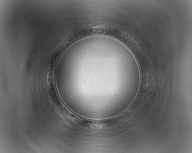 X0000082940698200702152214