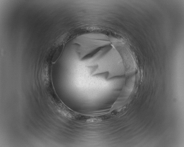 X0000082940700200702152214