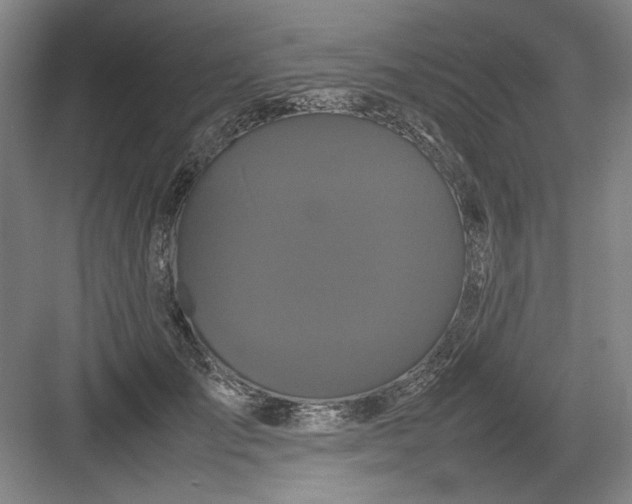 X0000082940701200702152214