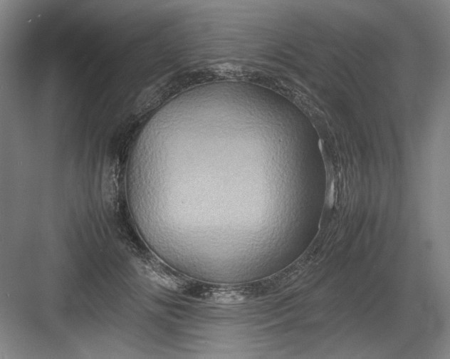 X0000082940702200702152214