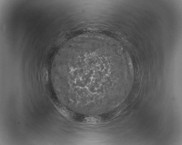 X0000082940703200702152214