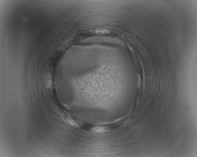 X0000082940704200702152214