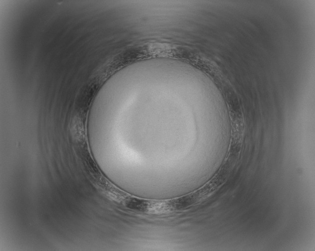 X0000082940705200702152214