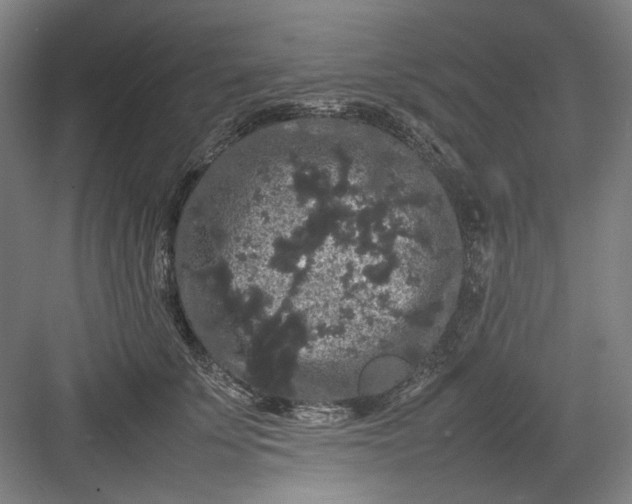 X0000082940707200702152214