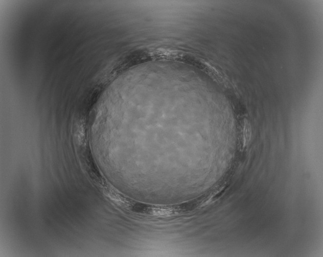 X0000082940709200702152214