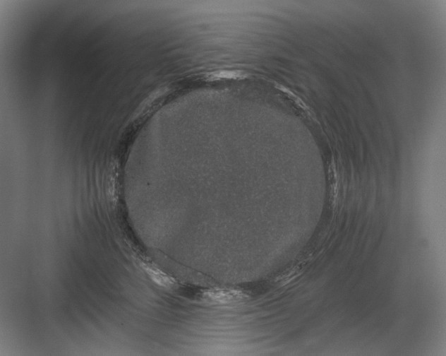 X0000082940712200702152214