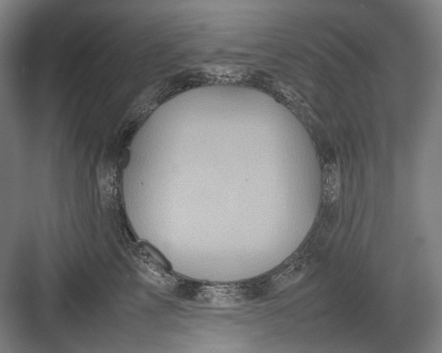 X0000082940713200702152214